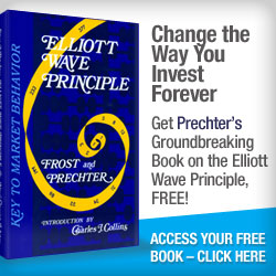 Elliott Wave Principle